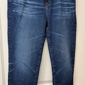 AG Adriano Goldschmied Indigo Denim Jeans